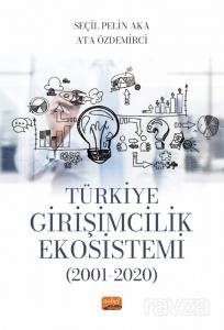 Türkiye Girişimcilik Ekosistemi (2001-2020) - 1