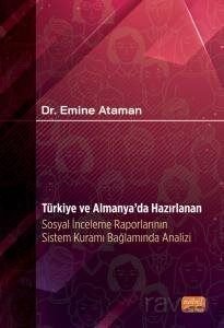 Türkiye ve Almanya'da Hazırlanan Sosyal İnceleme Raporlarının Sistem Kuramı Bağlamında Analizi - 1