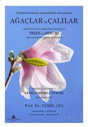 Türkiye'de Peyzaj Tasarımında Kullanılan Ağaçlar Ve Çalılar Bölüm 2 - Geniş Yapraklı Türler - Identi - Yeditepe Üniversitesi Yayınları