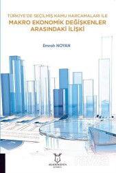 Türkiye'de Seçilmiş Kamu Harcamaları ile Makro Ekonomik Değişkenler Arasındaki İlişki - Akademisyen Kitabevi
