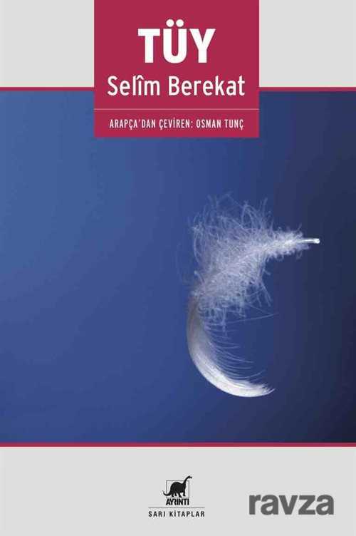 Tüy - Ayrıntı Yayınları