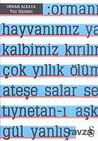 Tuz Günleri - Everest Yayınları