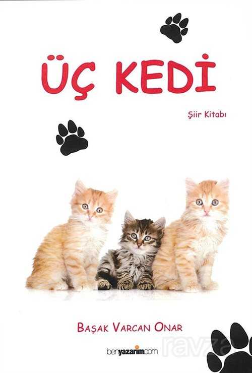 Üç Kedi - 1