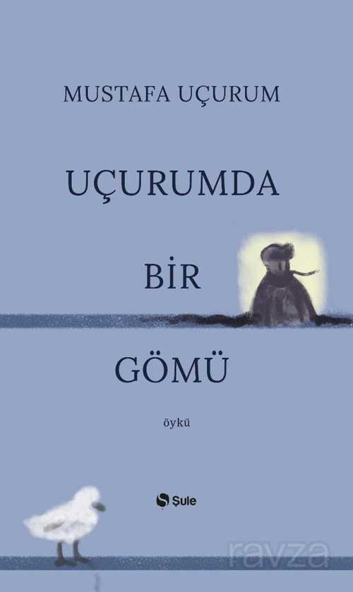 Uçurumda Bir Gömü - Şule Yayınları