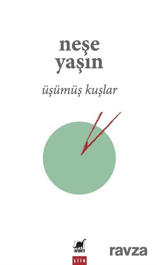 Üşümüş Kuşlar - Ayrıntı Yayınları