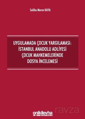 Uygulamada Çocuk Yargılaması: İstanbul Anadolu Adliyesi Çocuk Mahkemelerinde Dosya İncelemesi - 1