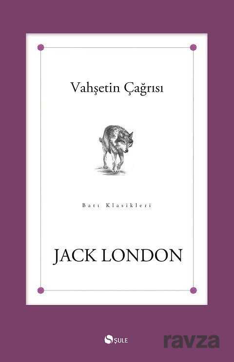 Vahşetin Çağrısı (Roman Boy) - Şule Yayınları