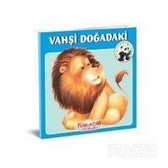 Vahşi Doğadaki En Sevdiğim Hayvanlar - Yumurcak Yayınları