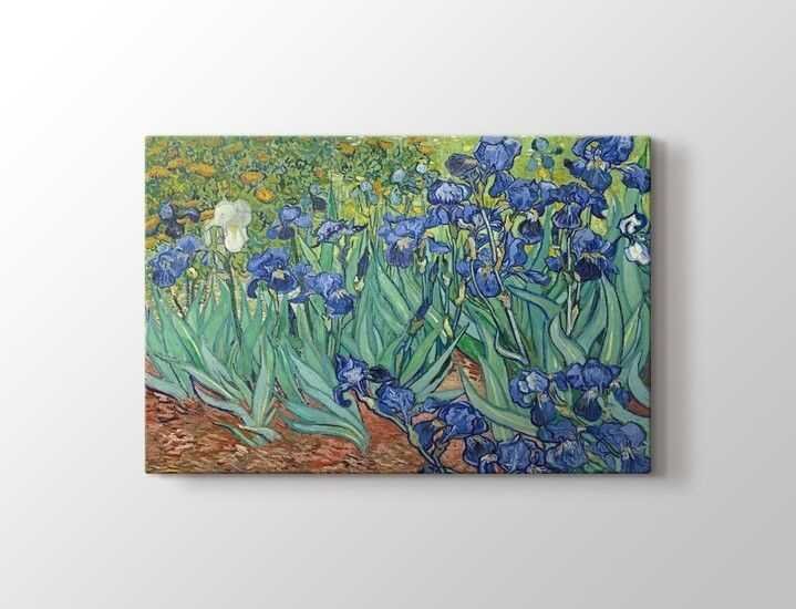 Vincent van Gogh - Irises Tablo |50 X 70 cm| - 1