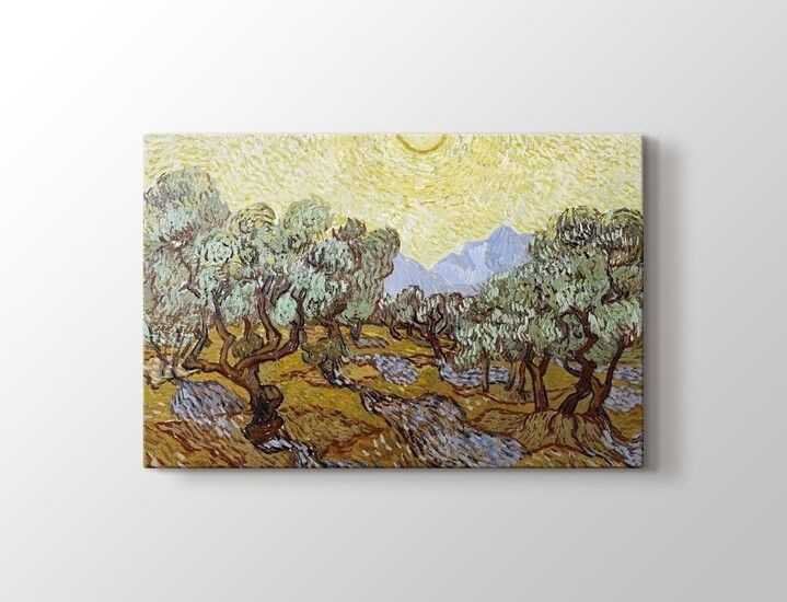 Vincent van Gogh - Olive Trees Tablo |60 X 80 cm| - K4NWS