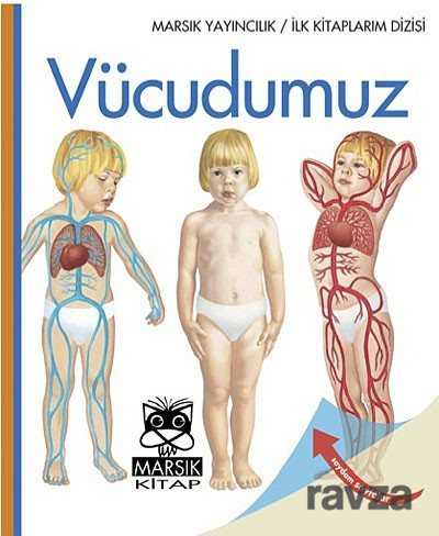 Vücudumuz / İlk Kitaplarım Dizisi - 1