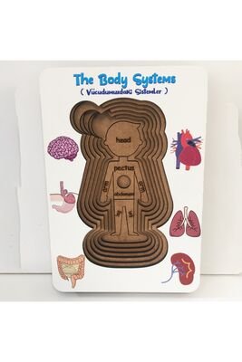 Vücudumuz Sistemleri -Erkek Ahsap Saglikli Oyuncak - 1