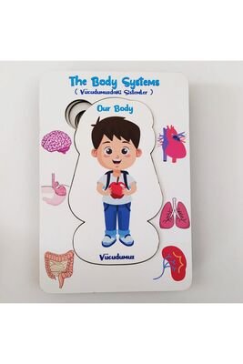 Vücudumuz Sistemleri -Erkek Ahsap Saglikli Oyuncak - 3