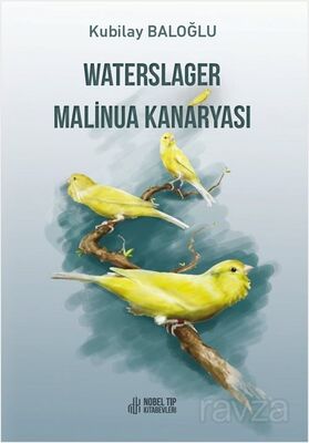 Waterslager Malinua Kanaryası Ötümü-Bakımı-Eğitimi-Beslenmesi ve Hastalıkları - 1