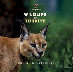 Wildlife Of Türkiye - Tübitak Yayınları