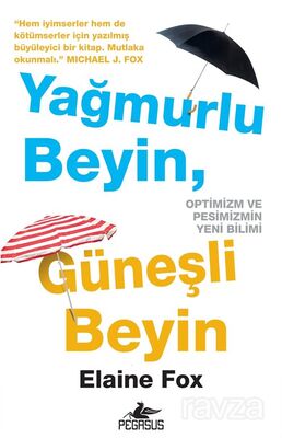 Yağmurlu Beyin, Güneşli Beyin - 1