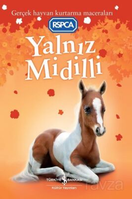 Yalnız Midilli - 1