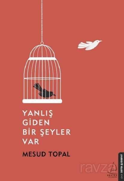 Yanlış Giden Bir Şeyler Var - Destek Yayınları