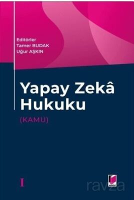 Yapay Zeka Hukuku (Kamu) - 1