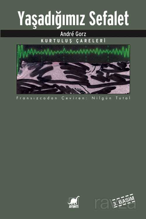 Yaşadığımız Sefalet - Ayrıntı Yayınları