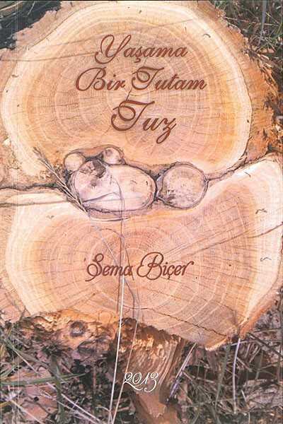 Yaşama Bir Tutam Tuz - Vilayet Yayınevi (Sivas)