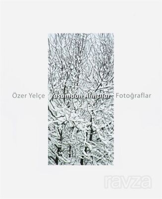 Yaşamdan Alıntılar - 1