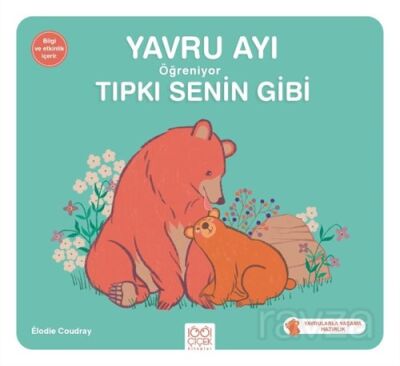 Yavru Ayı Öğreniyor Tıpkı Senin Gibi - 1