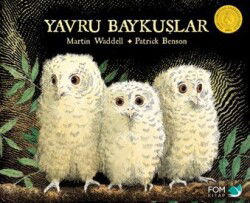Yavru Baykuşlar - Fom Kitap
