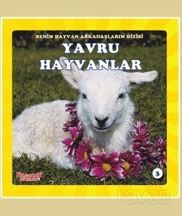 Yavru Hayvanlar - 1