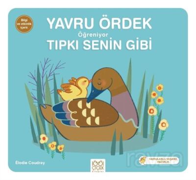 Yavru Ördek Öğreniyor Tıpkı Senin Gibi - 1