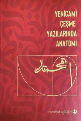 Yenicami Çeşme Yazılarında Anatomi - 1