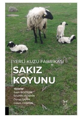 Yerli Kuzu Fabrikası Sakız Koyunu - 1