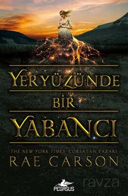 Yeryüzünde Bir Yabancı - 1