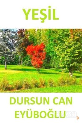 Yeşil - 1
