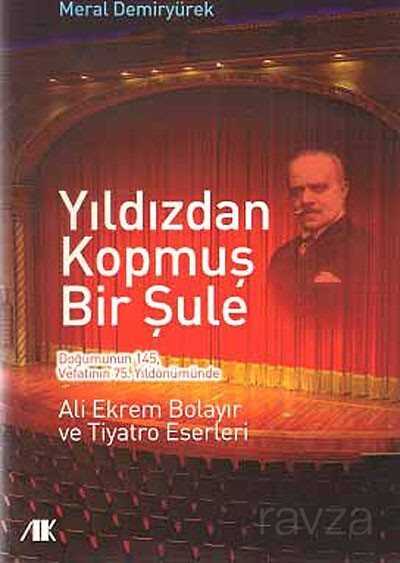 Yıldızdan Kopmuş Bir Şule - Akademik Kitaplar