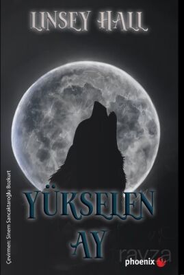 Yükselen Ay / Gölge Loncası Serisi 4 - 1