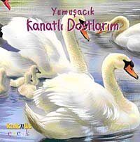 Yumuşacık Kanatlı Dostlarım - 1