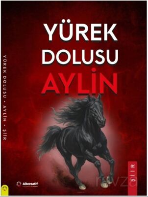 Yürek Dolusu Aylin Şiirleri - 1