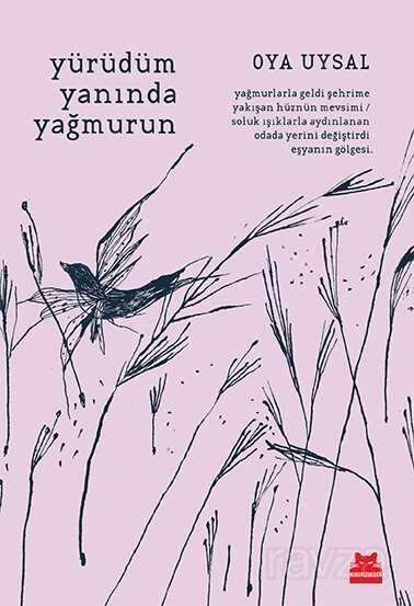 Yürüdüm Yanında Yağmurun - 1