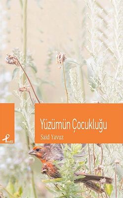 Yüzümün Çocukluğu - 1