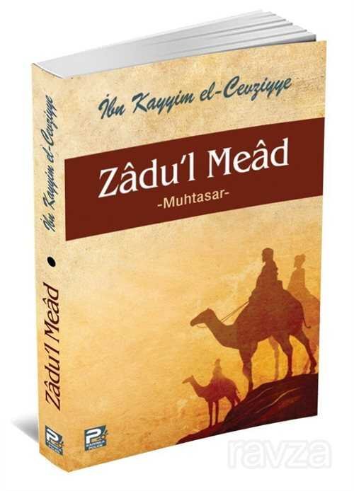Zadu'l Mead Muhtasar (Karton Kapak) - 1
