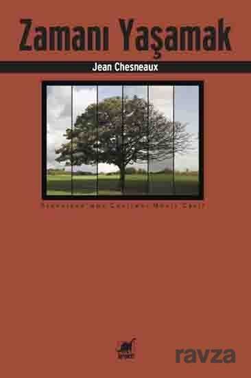 Zamanı Yaşamak - Ayrıntı Yayınları