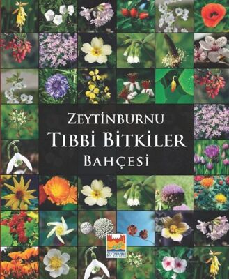 Zeytinburnu Tıbbi Bitkiler Bahçesi - 1