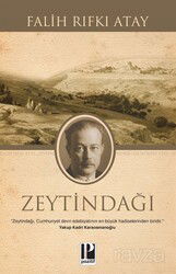 Zeytindağı - Pozitif Yayınları