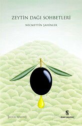 Zeytindağı Sohbetleri - İnsan Yayınları