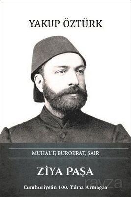 Ziya Paşa Muhalif, Bürokrat, Şair - 1